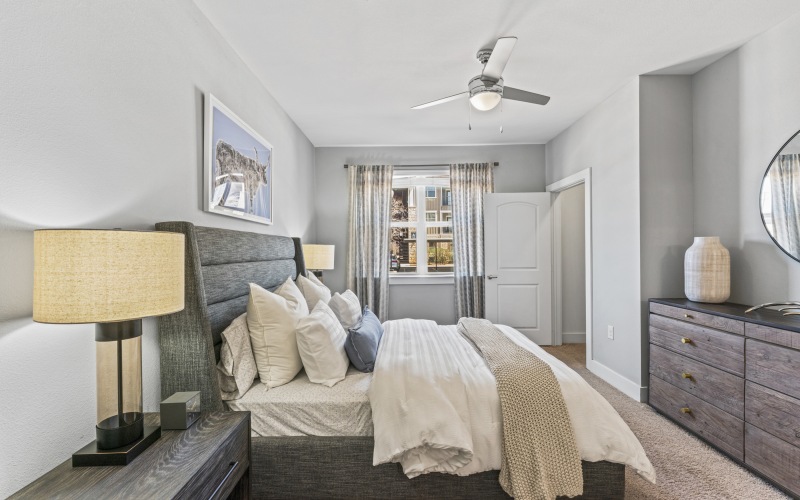 Apartment Features